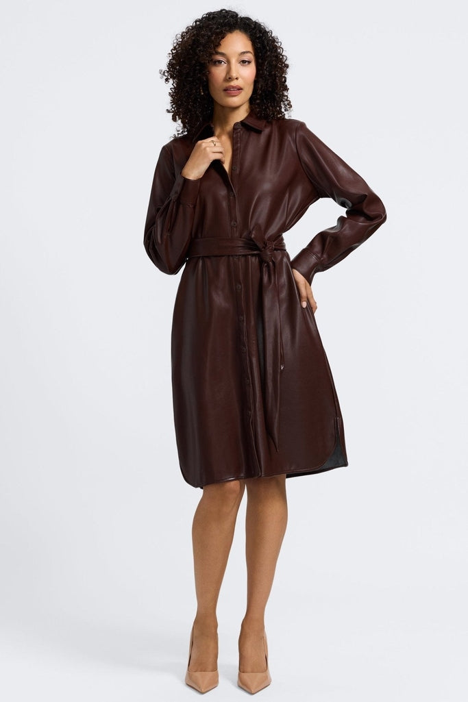 Foxcroft Women's Rocca Long Sleeve Faux Leather Shirtdress - Black