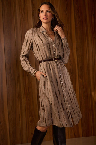 Fiona Chain Stripe Long Sleeve Sleeve Dress