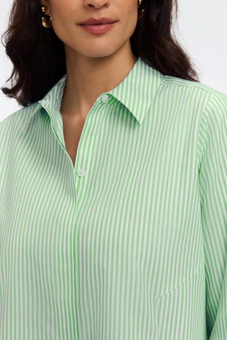 #color_mojito pinpoint stripe