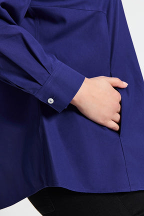 Cici Plus No Iron Pinpoint Long Sleeve Tunic
