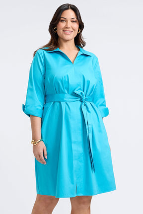 Agnes Plus No Iron Stretch Matte Sateen 3/4 Sleeve Dress