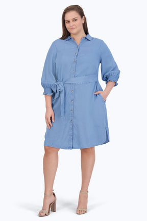 Abby Plus Tencel 3/4 Sleeve Dress
