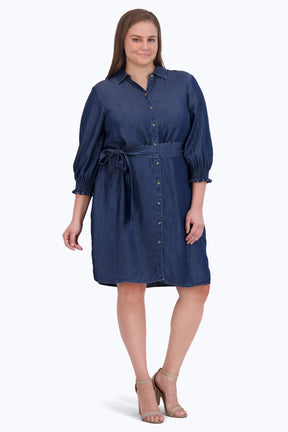 Abby Plus Tencel 3/4 Sleeve Dress