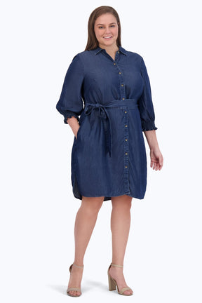 Abby Plus Tencel 3/4 Sleeve Dress