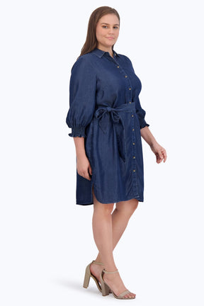 Abby Plus Tencel 3/4 Sleeve Dress