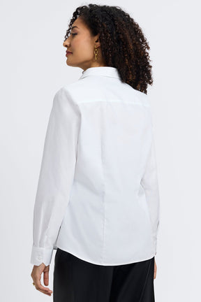 Dianna No Iron Pinpoint Long Sleeve Shirt