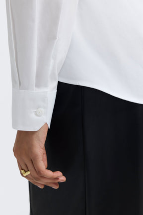 Dianna No Iron Pinpoint Long Sleeve Shirt