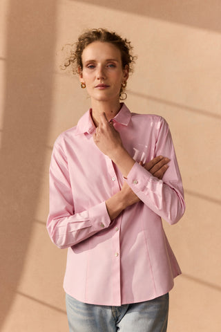 Dianna No Iron Pinpoint Long Sleeve Shirt