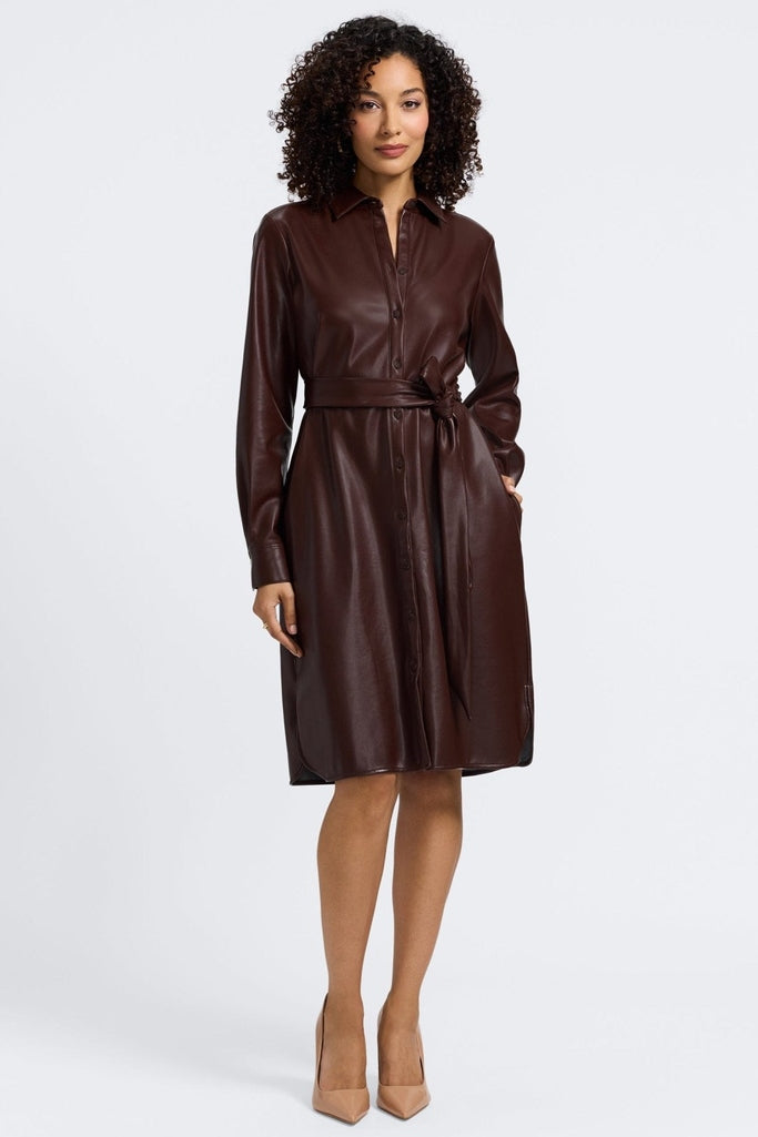 Foxcroft Women's Rocca Long Sleeve Faux Leather Shirtdress - Black