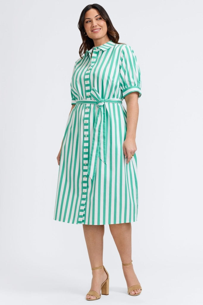 Esther Plus Springtime Stripe Elbow Sleeve Dress- Foxcroft - Main Image