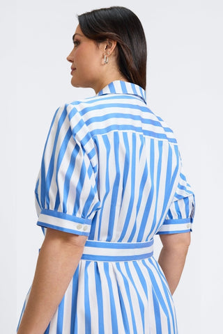 #color_cobalt blue springtime stripe