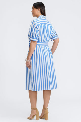 #color_cobalt blue springtime stripe