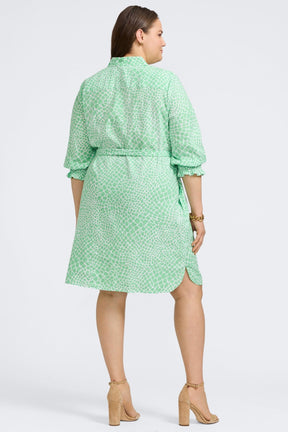 Abby Plus Linen Giraffe 3/4 Sleeve Dress