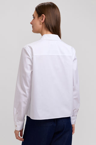#color_white