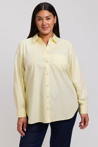 Boyfriend Plus No Iron Pinpoint Long Sleeve Tunic