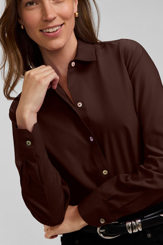 Dianna No Iron Pinpoint Long Sleeve Shirt