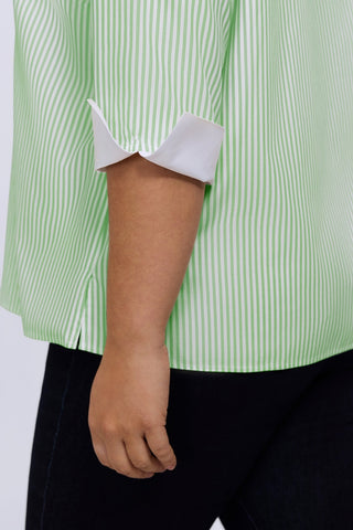#color_mojito pinpoint stripe