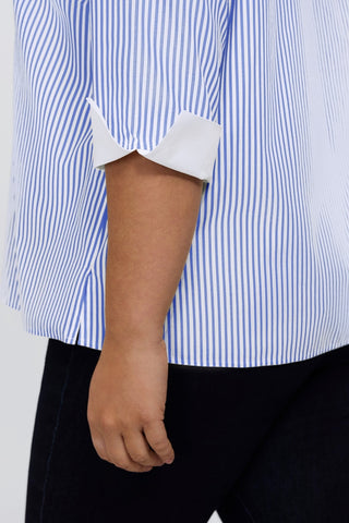#color_powder blue pinpoint stripe