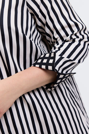 Agnes Plus Stripe & Gingham Long Sleeve Popover Shirt