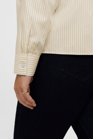 #color_lemon pinpoint stripe