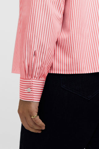 #color_coral reef pinpoint stripe