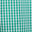 Kelly Green/White Gingham