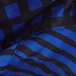 Sapphire Stripe w/ Gingham Border