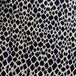 Silver Birch & Black Abstract Snakeskin